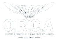 ORCA LOGO_trans